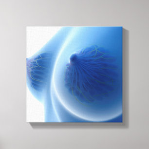 röntgenAfbeelding van de anatomie van de borst va Canvas Afdruk