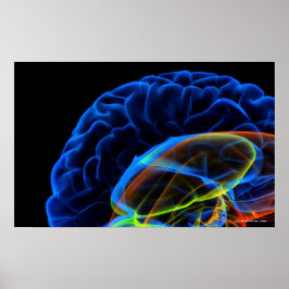 Röntgenafbeelding van de hersenen poster