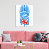 röntgenAfbeelding van interne organen met een klei Canvas Afdruk (Insitu (Woonkamer))