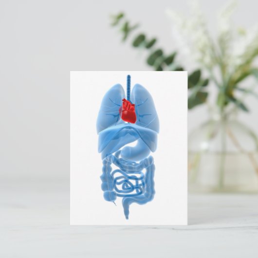 röntgenAfbeelding van interne organen met hart Briefkaart (Staand voorkant)
