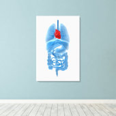 röntgenAfbeelding van interne organen met hart Canvas Afdruk (Insitu (Houten vloer))