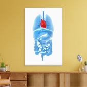 röntgenAfbeelding van interne organen met hart Canvas Afdruk (Insitu (Woonkamer))