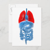 röntgenAfbeelding van interne organen met longen Briefkaart (Voorkant / Achterkant)