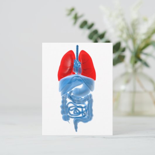 röntgenAfbeelding van interne organen met longen Briefkaart (Staand voorkant)