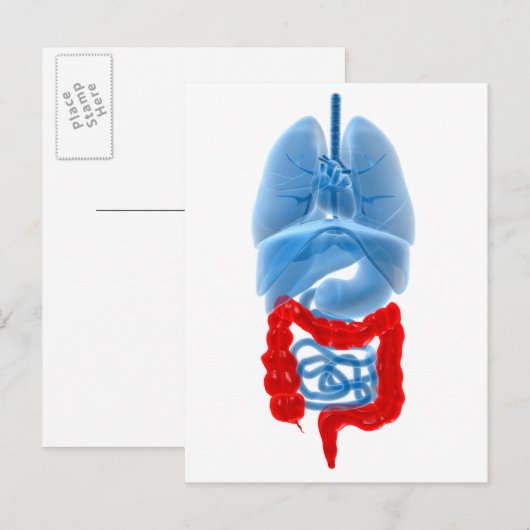 röntgenAfbeelding van inwendige organen met een gr Briefkaart (Voorkant / Achterkant)