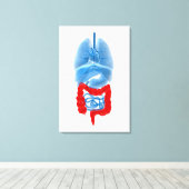 röntgenAfbeelding van inwendige organen met een gr Canvas Afdruk (Insitu (Houten vloer))