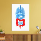 röntgenAfbeelding van inwendige organen met een gr Canvas Afdruk (Insitu (Woonkamer))