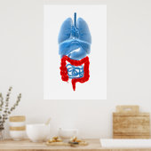 röntgenAfbeelding van inwendige organen met een gr Poster (Keuken)