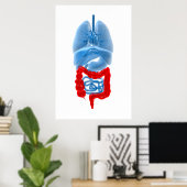 röntgenAfbeelding van inwendige organen met een gr Poster (Thuiskantoor)