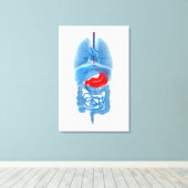 röntgenAfbeelding van inwendige organen met een st Canvas Afdruk (Insitu (Houten vloer))