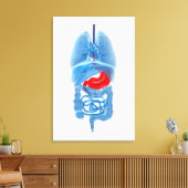 röntgenAfbeelding van inwendige organen met een st Canvas Afdruk (Insitu (Woonkamer))