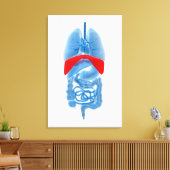 röntgenAfbeelding van inwendige organen met midden Canvas Afdruk (Insitu (Woonkamer))