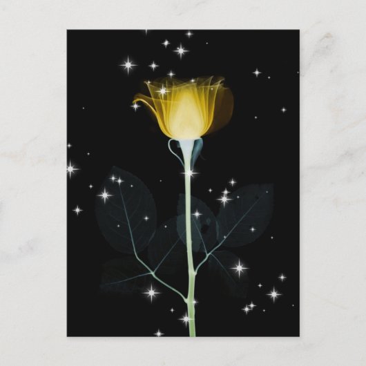 Röntgenbloem met mousserend - geel briefkaart (Voorkant)