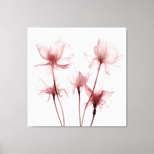 Röntgenfoto Roze Anjerbloemen Canvas Afdruk (Voorkant)