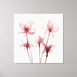 Röntgenfoto Roze Anjerbloemen Canvas Afdruk