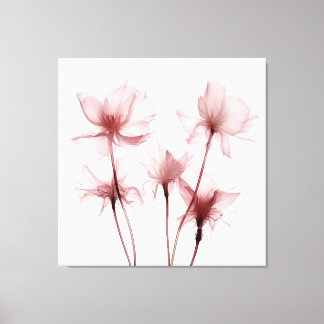 Röntgenfoto Roze Anjerbloemen Canvas Afdruk