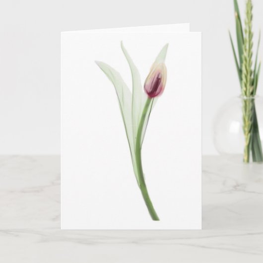 röntgenfoto: Tulpnotecard Kaart (Voorkant)