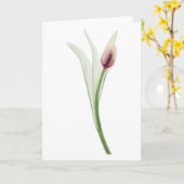 röntgenfoto: Tulpnotecard Kaart (Gele Bloem)