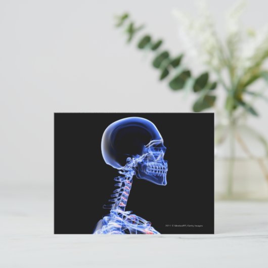 röntgenfoto van de botten in de nek briefkaart (Staand voorkant)