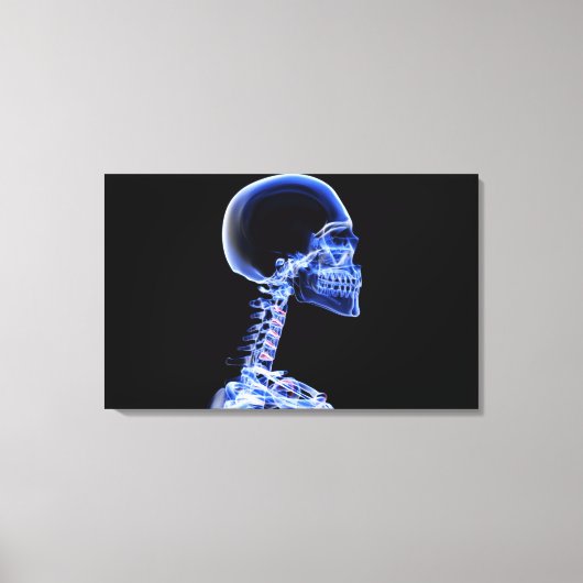 röntgenfoto van de botten in de nek canvas afdruk (Voorkant)