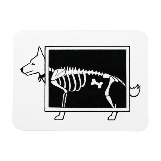 Röntgenfoto van hond magneet (Horizontaal)