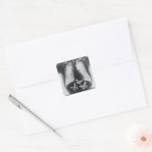 Röntgenfoto van vlinders in de maag vierkante sticker (Envelop)