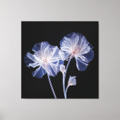 Röntgenfotografie Etherische bloemen Canvas Afdruk (Voorkant)