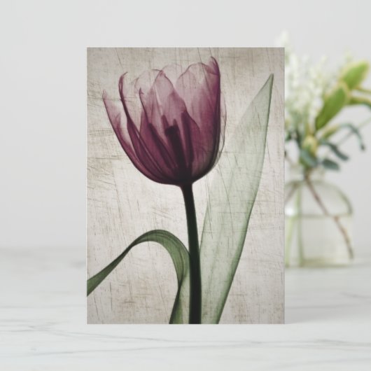  röntgenfoto's (Staand voorkant)