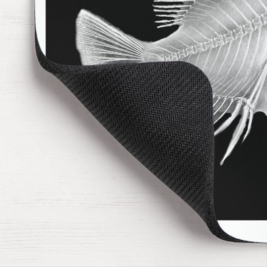 Röntgenfoto's Muismat (Hoek)