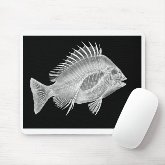 Röntgenfoto's Muismat (Met muis)