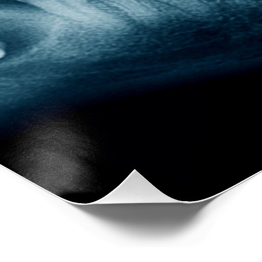 röntgenfoto's perfect poster (Hoek)