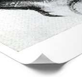  röntgenfoto's van schildpad poster (Hoek)