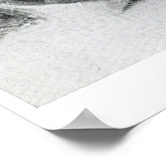 röntgenfoto's van schildpad poster (Hoek)