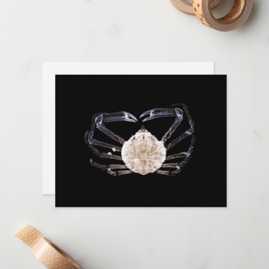 Röntgenkrab Notitiekaartje (Voorkant / Achterkant in situ)