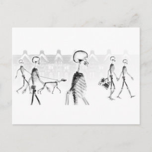 Röntgenskeletten vanmiddag Stroll Neg BW Briefkaart