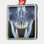 Röntgenstijl: kijk naar menselijke tanden metalen ornament (Links)