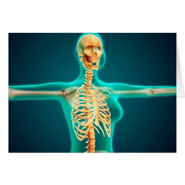 RöntgenUitzicht van het Vrouw bovenlichaam met rib (Voorkant Horizontaal)