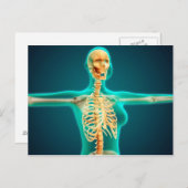 RöntgenUitzicht van het Vrouw bovenlichaam met rib Briefkaart (Voorkant / Achterkant)