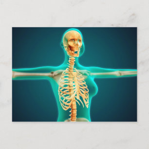 RöntgenUitzicht van het Vrouw bovenlichaam met rib Briefkaart