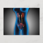 RöntgenUitzicht van het Vrouw met een voortplantin Briefkaart (Voorkant)