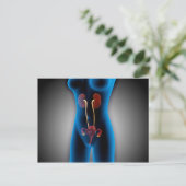 RöntgenUitzicht van het Vrouw met een voortplantin Briefkaart (Staand voorkant)