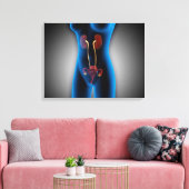 RöntgenUitzicht van het Vrouw met een voortplantin Canvas Afdruk (Insitu (Woonkamer))