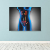 RöntgenUitzicht van het Vrouw met een voortplantin Canvas Afdruk (Insitu (Houten vloer))