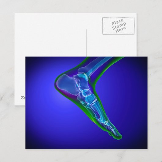 röntgenUitzicht van menselijke roet 1 Briefkaart (Voorkant / Achterkant)