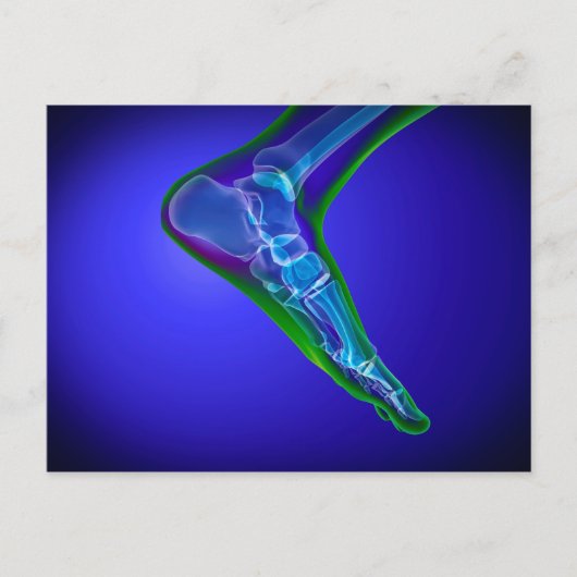 röntgenUitzicht van menselijke roet 1 Briefkaart (Voorkant)