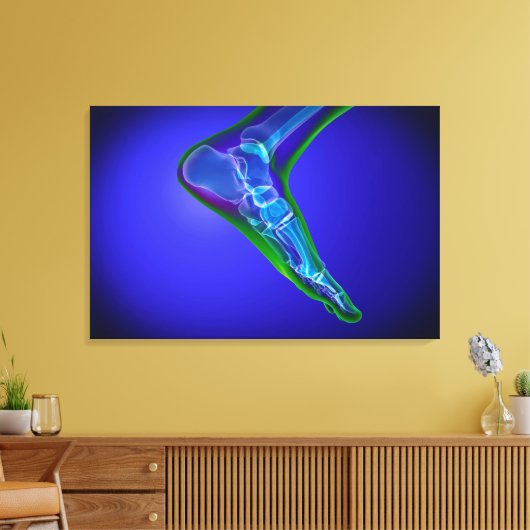 röntgenUitzicht van menselijke roet 1 Canvas Afdruk (Insitu (Woonkamer))