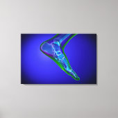 röntgenUitzicht van menselijke roet 1 Canvas Afdruk (Voorkant)
