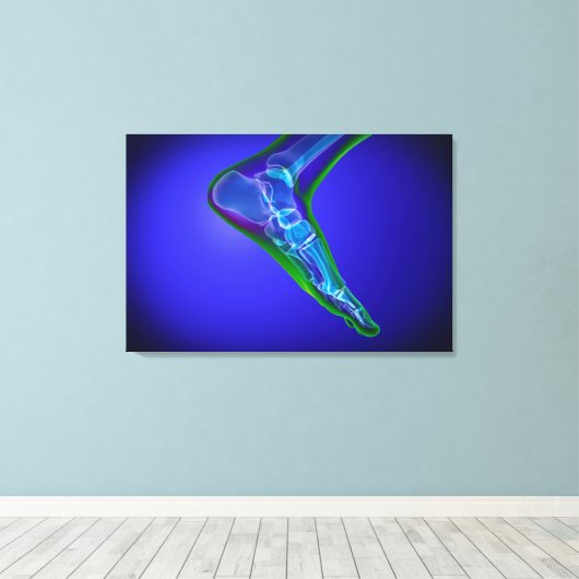 röntgenUitzicht van menselijke roet 1 Canvas Afdruk (Insitu (Houten vloer))