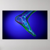 röntgenUitzicht van menselijke roet 1 Poster (Voorkant)