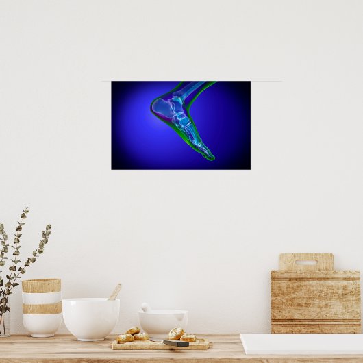 röntgenUitzicht van menselijke roet 1 Poster (Keuken)